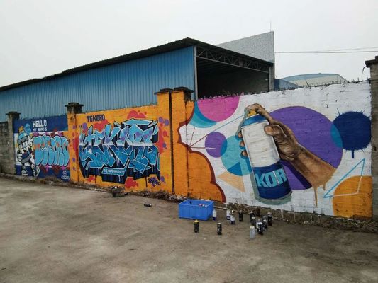 Eco-Friendly High-Efficiency Quick Drying Acrylic Spray Paint for Graffiti and Art